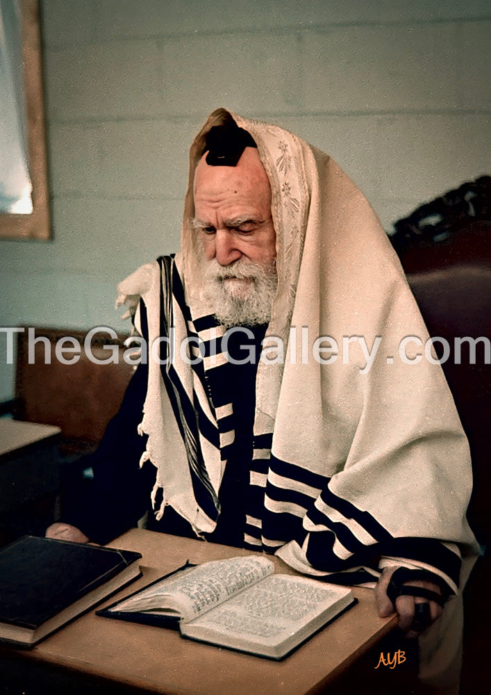 Rav Moshe Feinstein - רב משה פיינשטיין