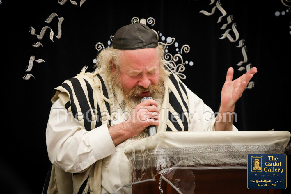 Rav Ya'akov Adess - 3 - רב יעקב עדס