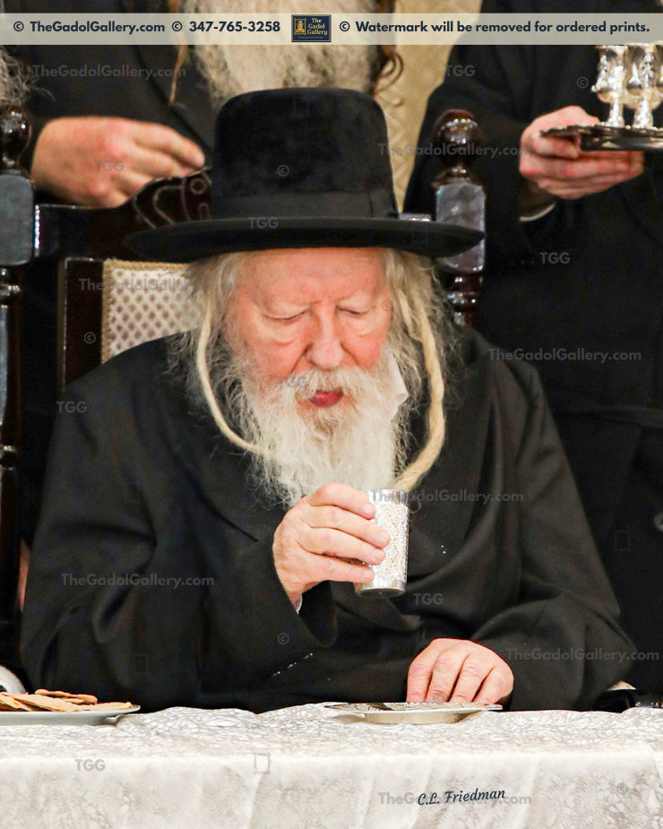 The Gerrer Rebbe - Rav Yaakov Alter - 2 - האדמור מגור