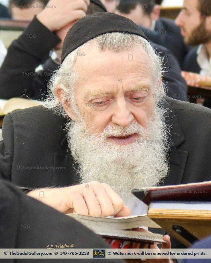 Rav Asher Arieli Beis Medrash 4
