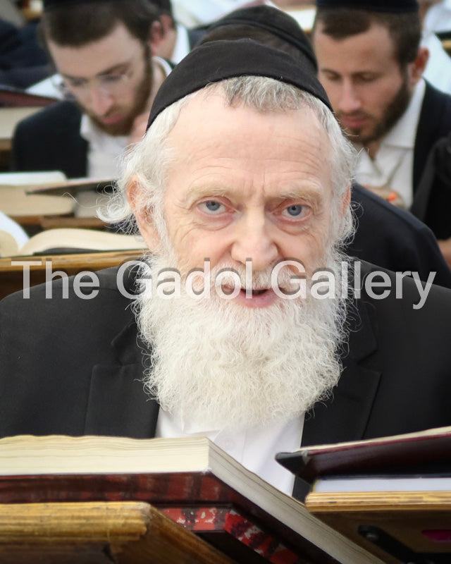 Rav Asher Arieli and Rav Gamliel Rabinowitz Sukkah Poster
