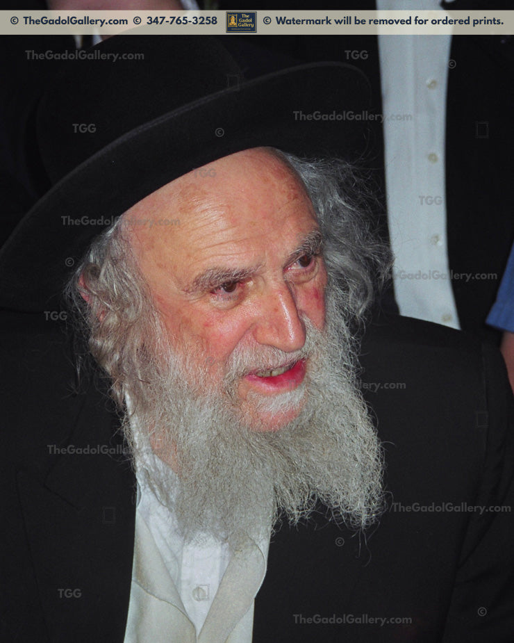 Rav Shmuel Auerbach -1- רב שמואל אויערבאך