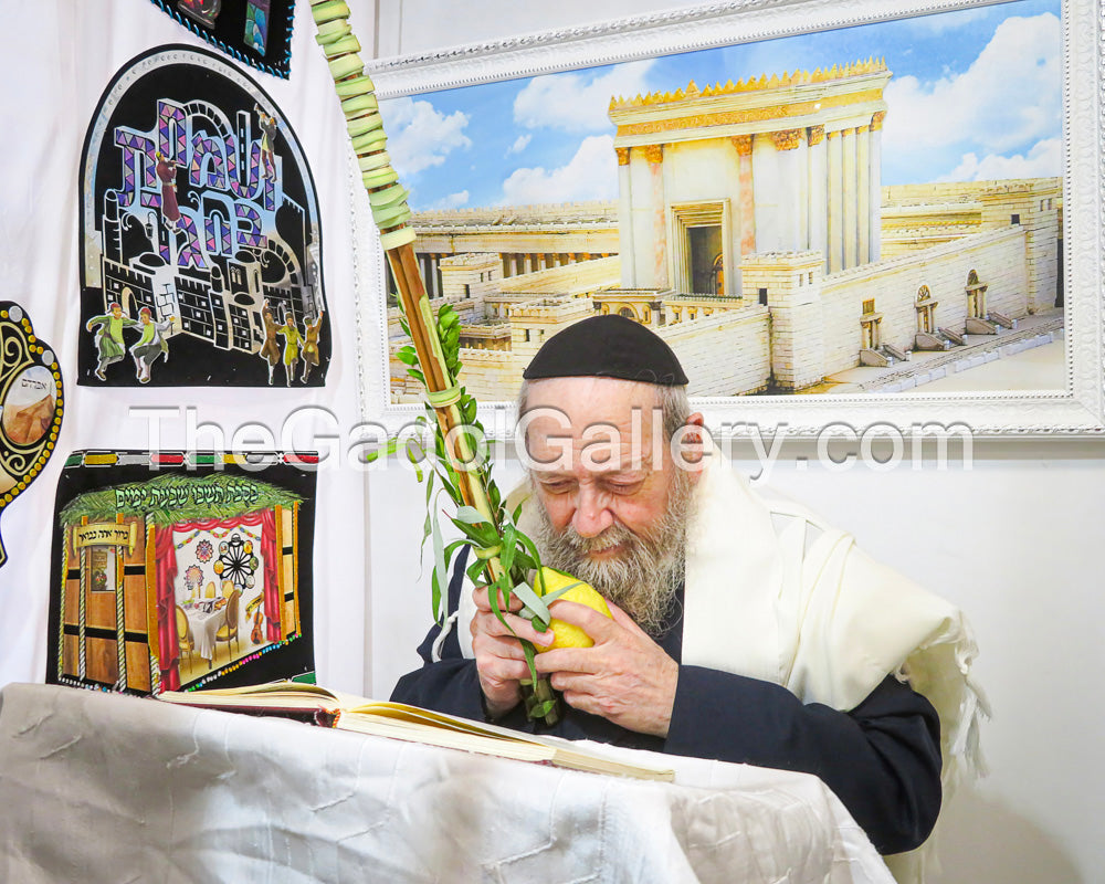 Rav Dovid Batzri - רב דוד בצרי