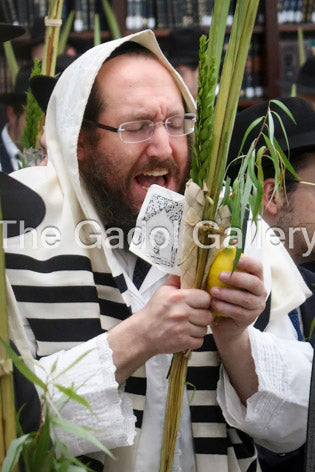 Rav Shmuel Bedil - 2