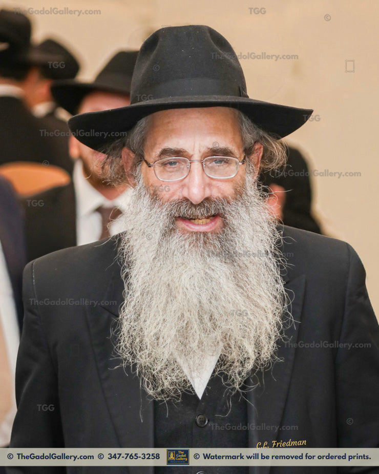 Rav Aryeh Berenstein 4 - רב ארי' ברנשטיין Profile 1