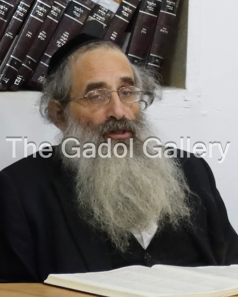 Rav Aryeh Berenstein - רב ארי' ברנשטיין Learning 1
