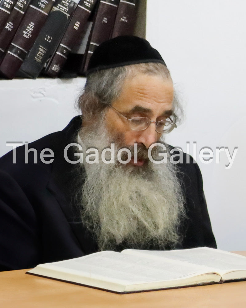 Rav Aryeh Berenstein - רב ארי' ברנשטיין Sukkos