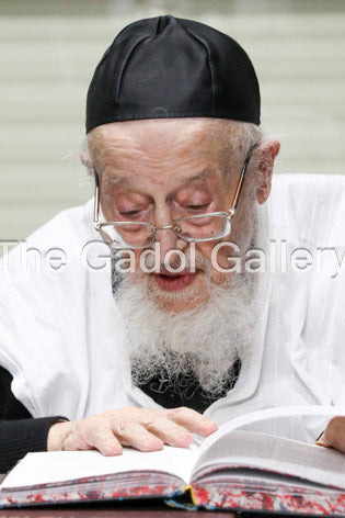 Rav Meir Tzvi Bergman - Learning