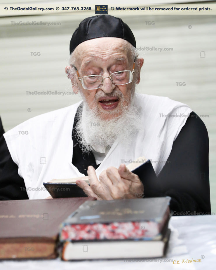 Rav Meir Tzvi Bergman -2- רב מאיר צבי ברגמן