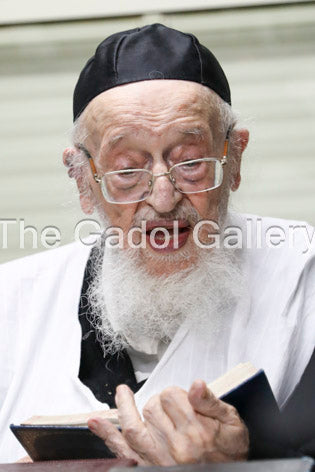 Rav Meir Tzvi Bergman - Learning