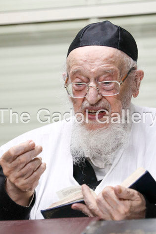 Rav Meir Tzvi Bergman - Learning