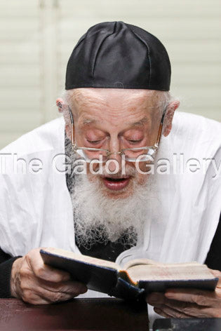 Rav Meir Tzvi Bergman - Learning