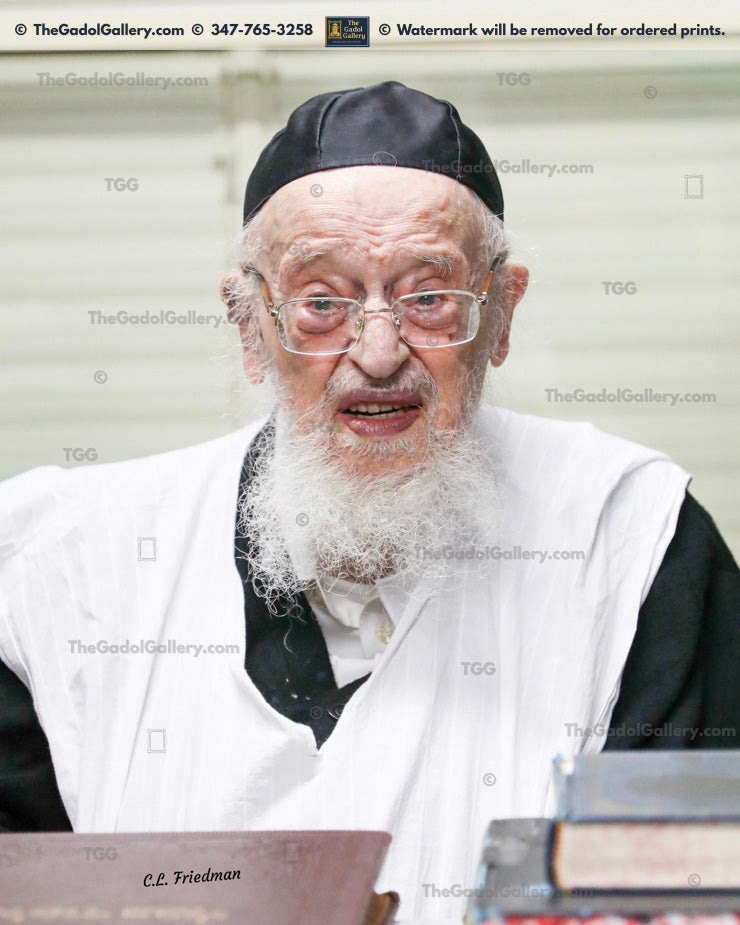 Rav Meir Tzvi Bergman -5- רב מאיר צבי ברגמן