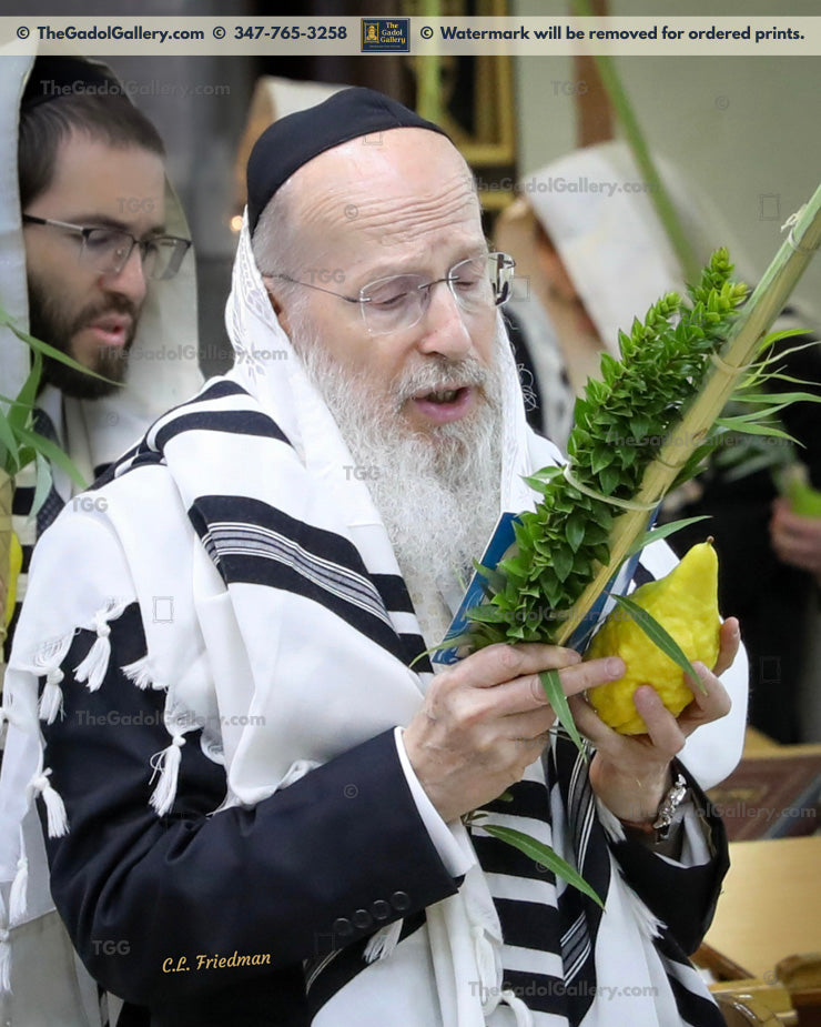 Rav Yitzchok Berkowitz -5- רב יצחק שמואל הלוי ברקוביץ