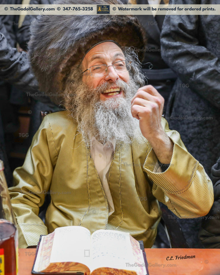 Rav Elimelech Biderman -1- רב מיילך בידערמאן