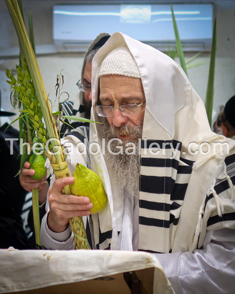Rav Elimelech Biderman - Sukkos - רב מיילך בידערמאן