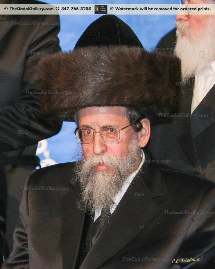 The Boyaner Rebbe, Rav Nachum Dov Brayer - 1 - האדמו"ר מבאיאן