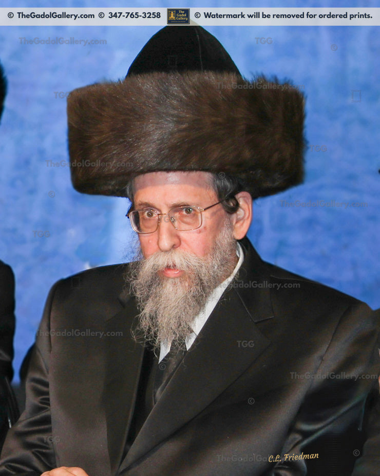 The Boyaner Rebbe, Rav Nachum Dov Brayer - 1 - האדמו"ר מבאיאן