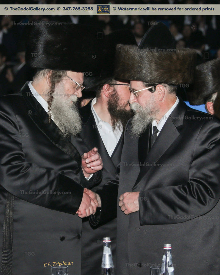 The Boyan Rebbe and Modzitz Rebbe