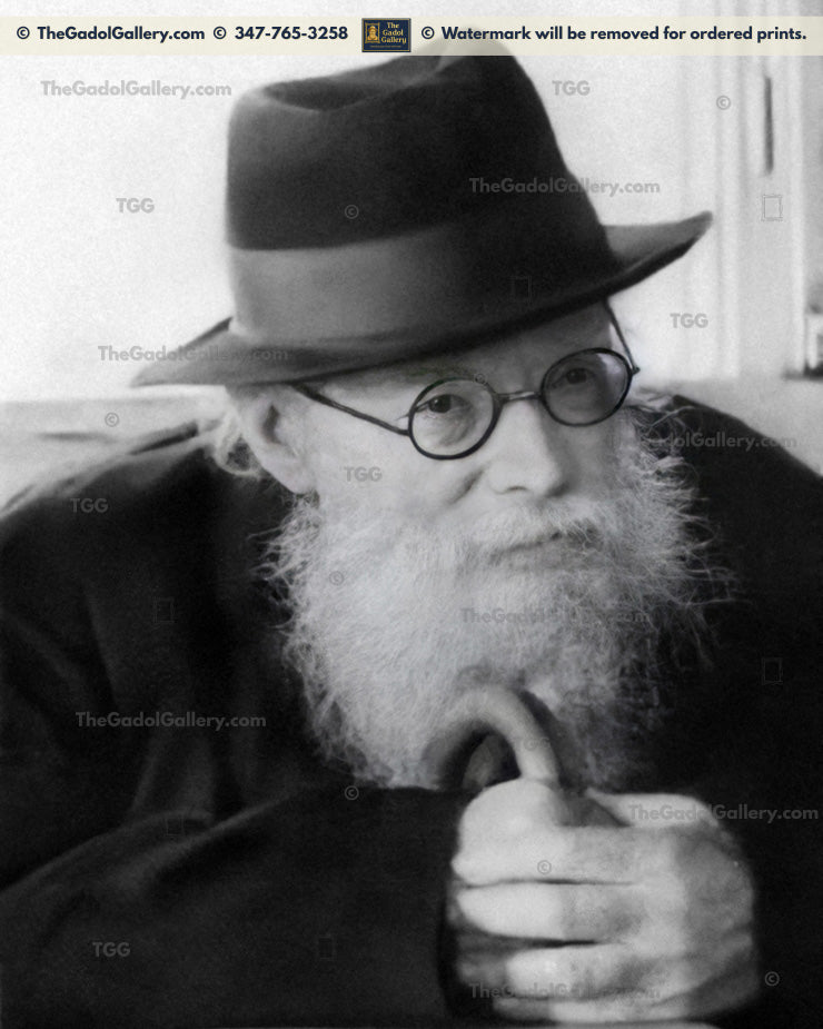 The Chazon Ish -1- החזון איש