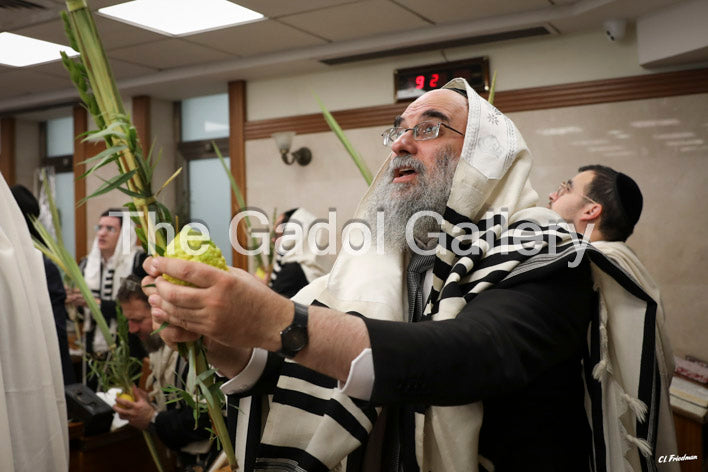 Rav Binyomin Cohen -1- רב בנימין כהן