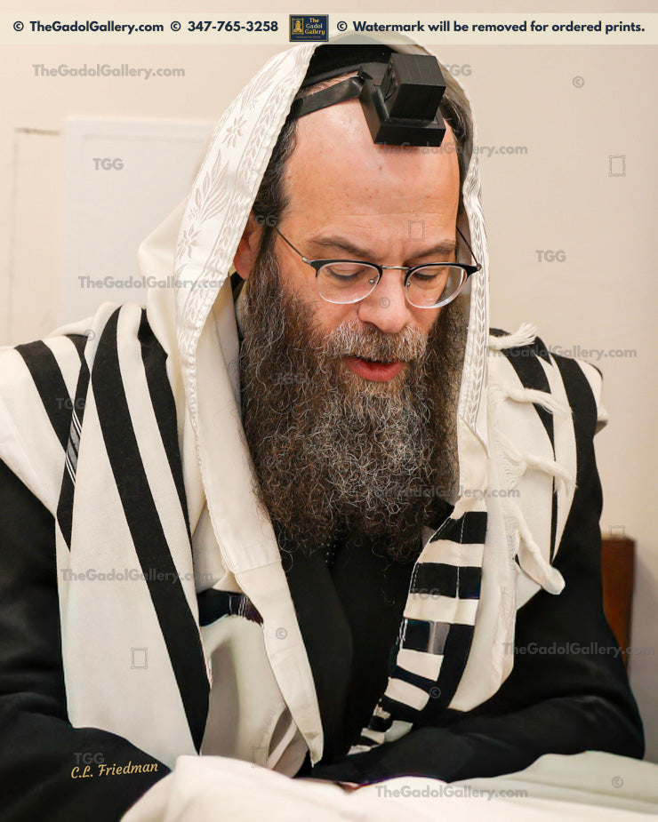 Rav Binyomin Cohen America -1- רב בנימין כהן