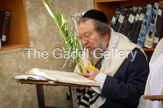 Rav Ahron David - רב אהרן דוד