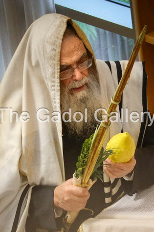 Rav Yonason David