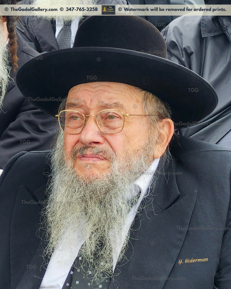 Rav Yisroel Ehrlich - 1