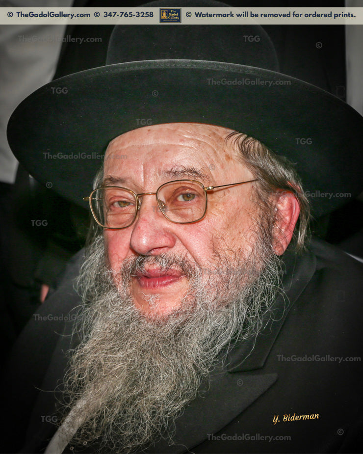 Rav Yisroel Ehrlich - 4
