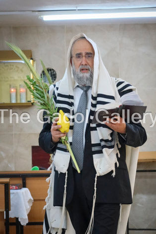 Rav Yosef Elefant - 2