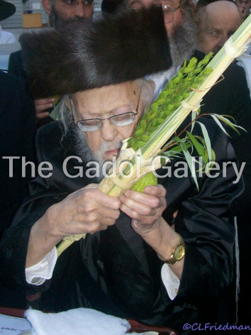Rav Yosef Shalom Elyashiv (Sukkos)