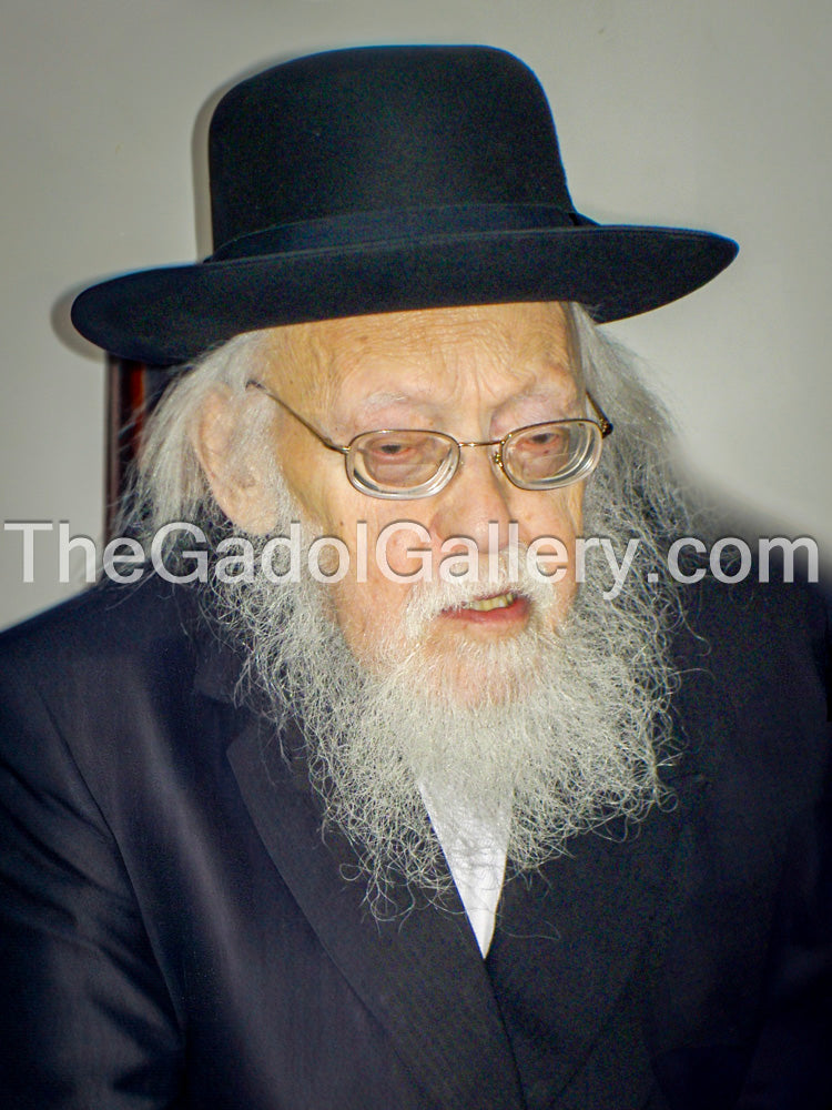 Rav Yosef Shalom Elyashiv