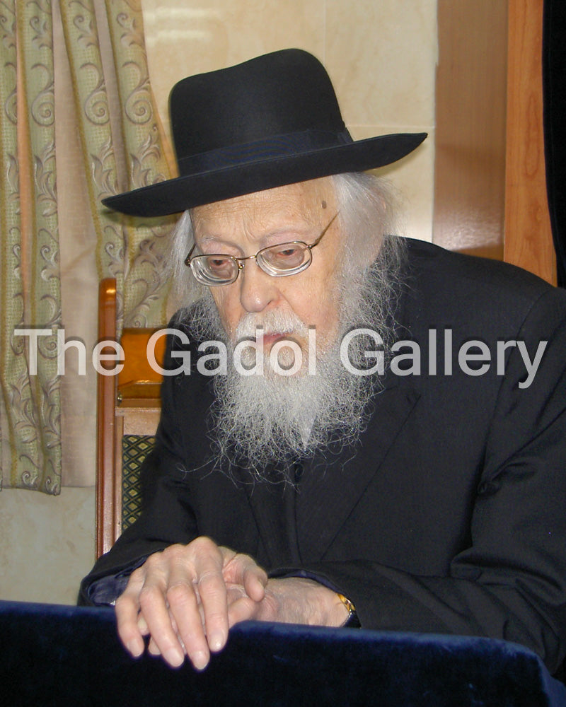 Rav Yosef Shalom Elyashiv