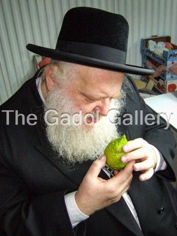 Rav Pesach Eliyahu Falk