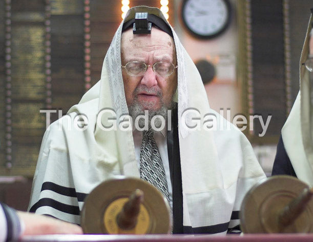 Rav Dovid Feinstein - רב דוד פיינשטיין