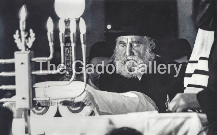 Rav Moshe Feinstein - רב משה פיינשטיין
