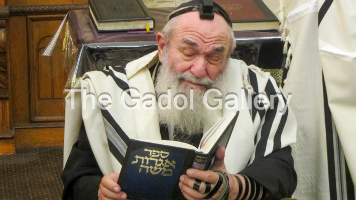 Rav Reuven Feinstein -3- רב שלום ראובן פיינשטיין