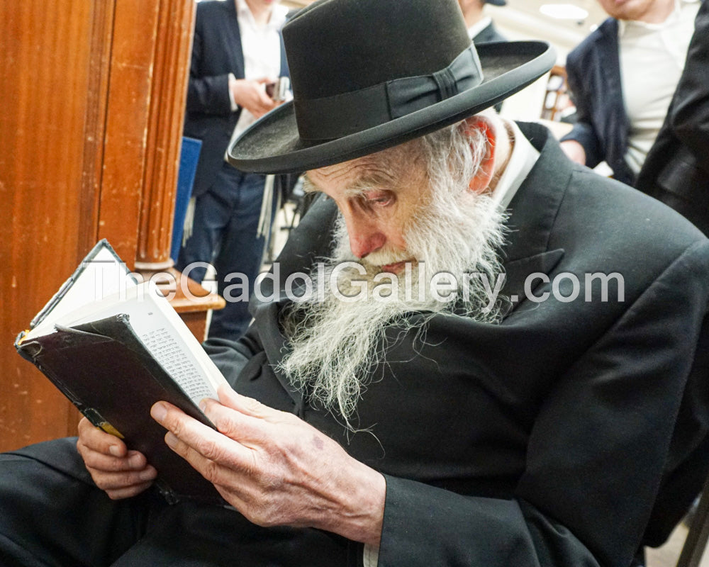 Rav Aharon Feldman - רב אהרן פלדמן