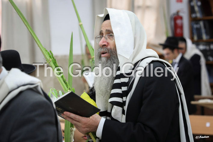 Rav Binyomin Finkel