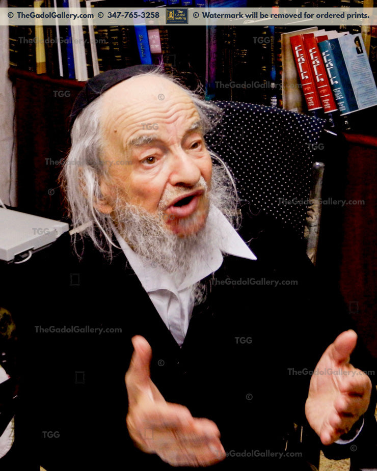 Rav Yaakov Galinsky