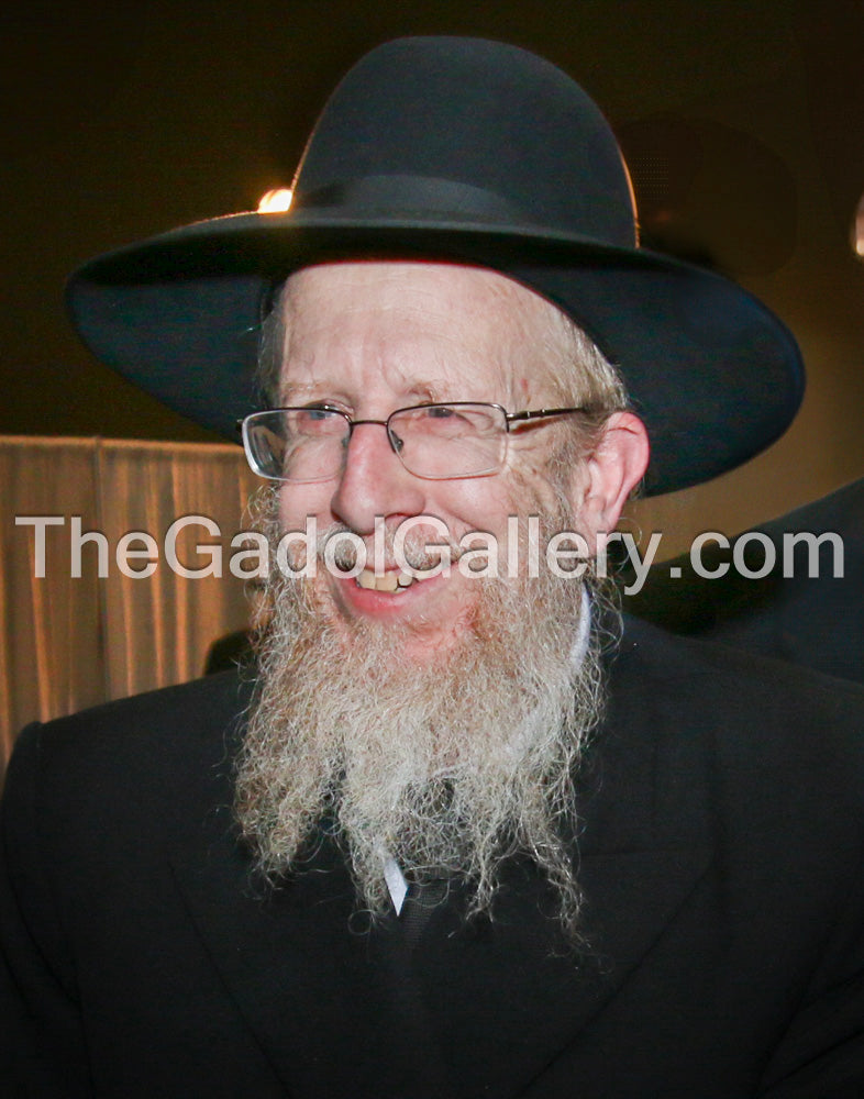 Rav Dovid Goldberg