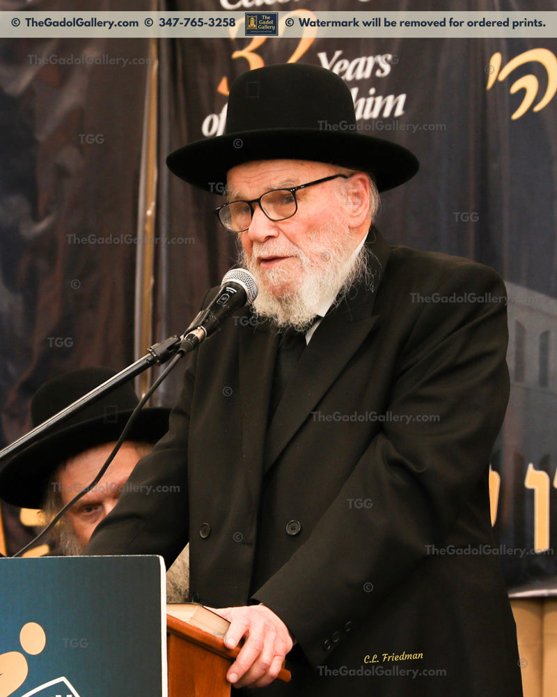Rav Moshe Hillel Hirsch -3- רב משה הלל הירש