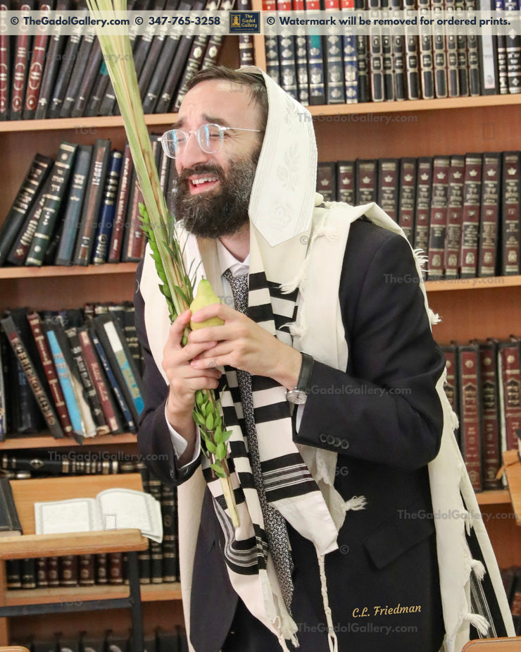 Rav Shraga Kallus - 1