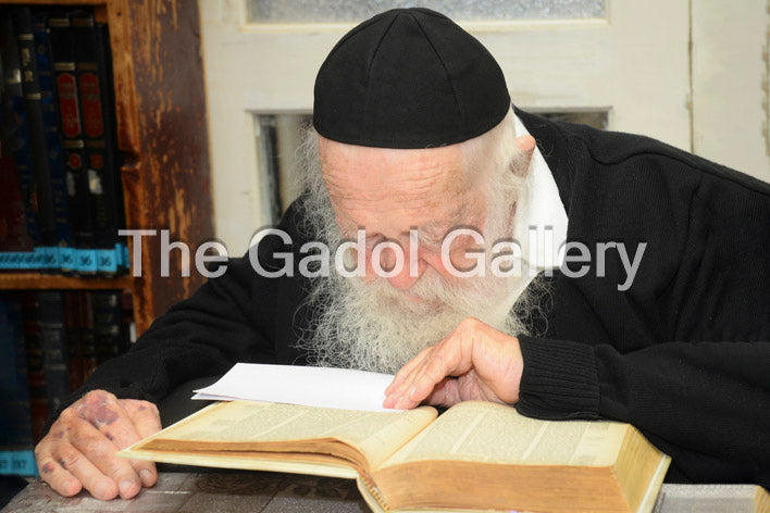 Rav Chaim Kanievsky - רב חיים קניבסקי