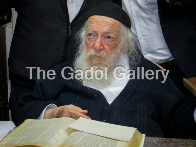 Rav Chaim Kanievsky - רב חיים קניבסקי