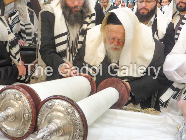 Rav Chaim Kanievsky - רב חיים קניבסקי