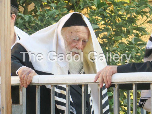 Rav Chaim Kanievsky - רב חיים קניבסקי