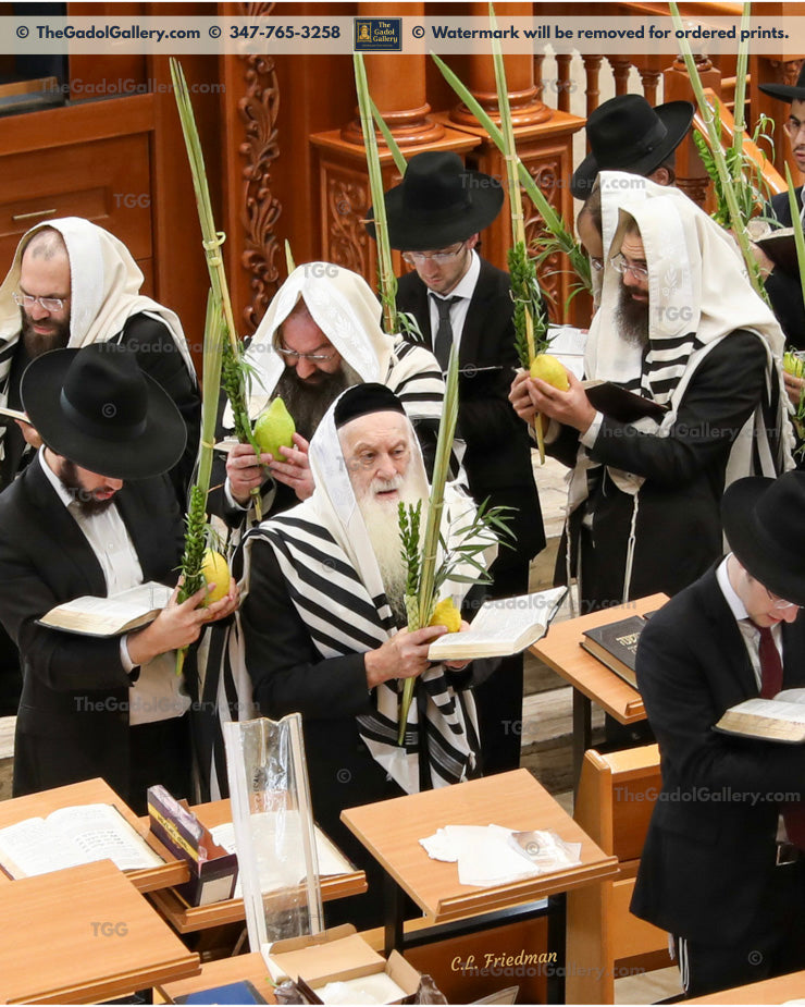 Rav Yerucham Kaplan -1- רב ירוחם קפלן