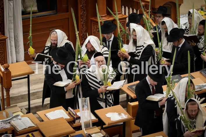 Rav Yerucham Kaplan -1- רב ירוחם קפלן